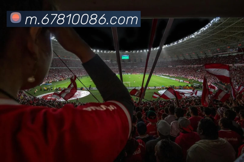 多媒体互动体验